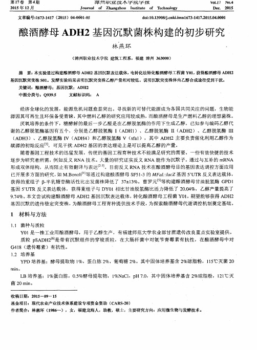 酿酒酵母ADH2基因沉默菌株构建的初步研究