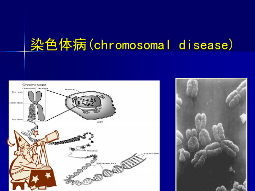 3-染色体病