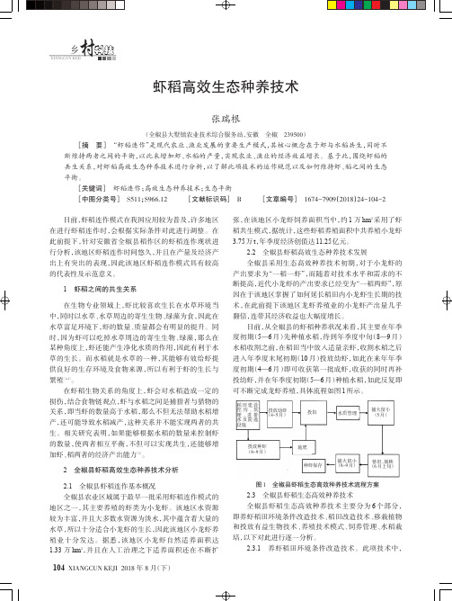 虾稻高效生态种养技术