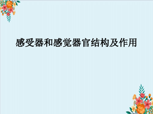 感受器和感觉器官结构及作用