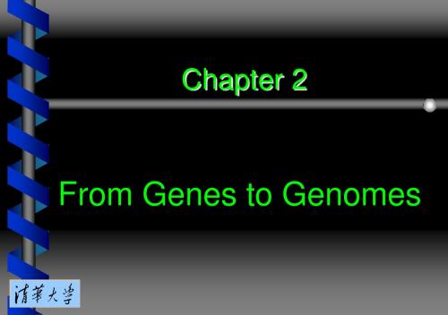 第二章 从基因到基因组(From Genes to Genomes)