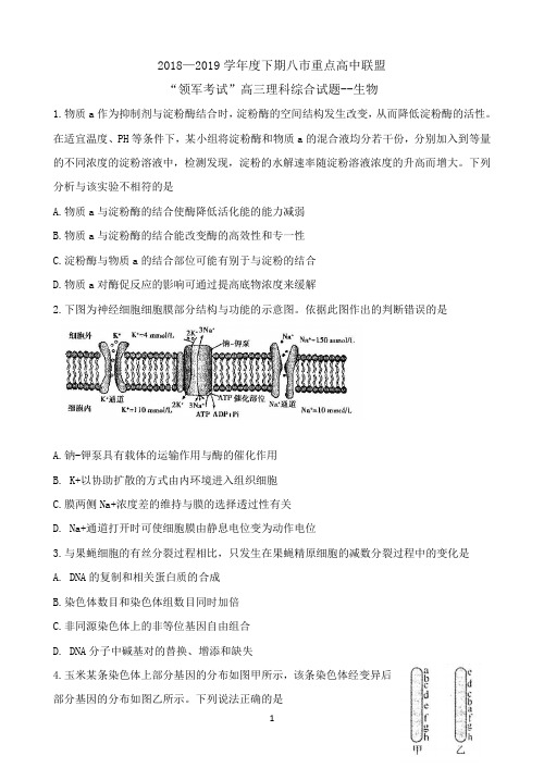 河南省八市重点高中联盟“领军考试”2019届高三第三次测评试题 理科综合 Word版含答案