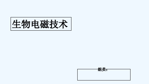 生物电磁技术 PPT