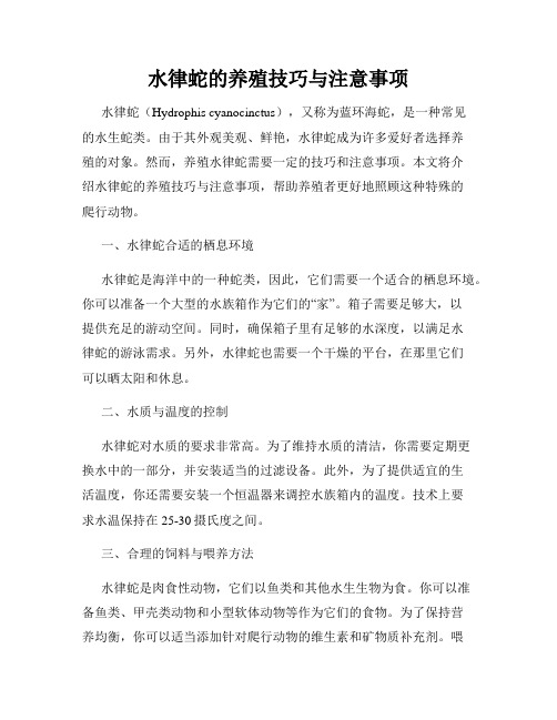 水律蛇的养殖技巧与注意事项