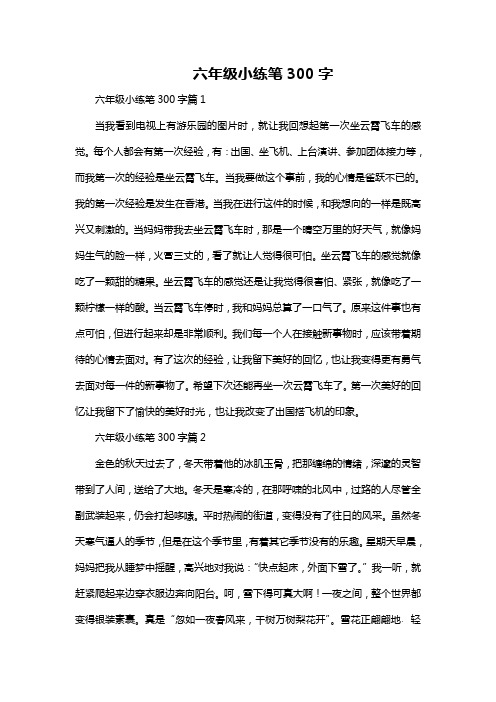 六年级小练笔300字