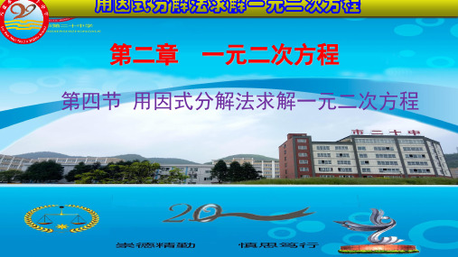 初中数学《因式分解》优秀ppt北师大版1