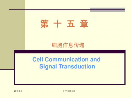 分子生物学原理--细胞信息传递