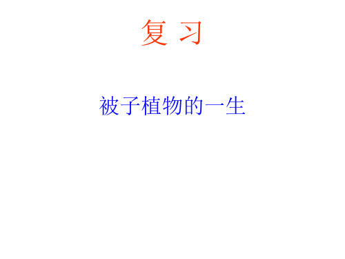 被子植物的一生 复习  6月PPT课件