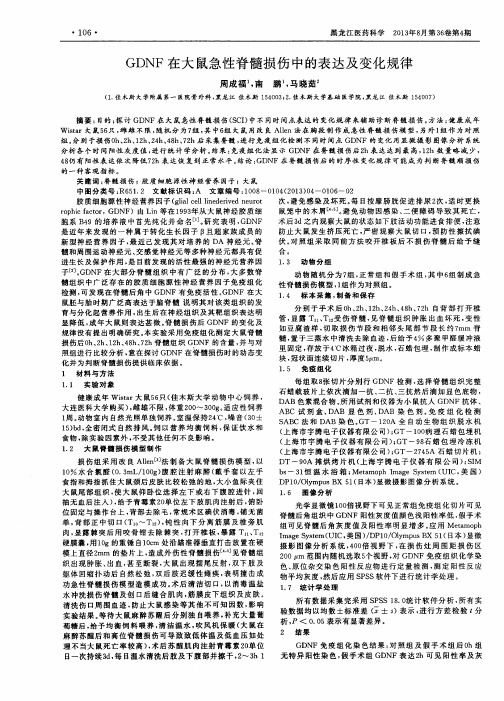 GDNF在大鼠急性脊髓损伤中的表达及变化规律