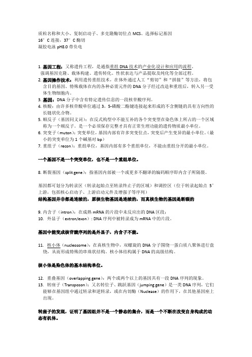 基因工程复习知识点