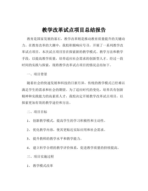 教学改革试点项目总结报告