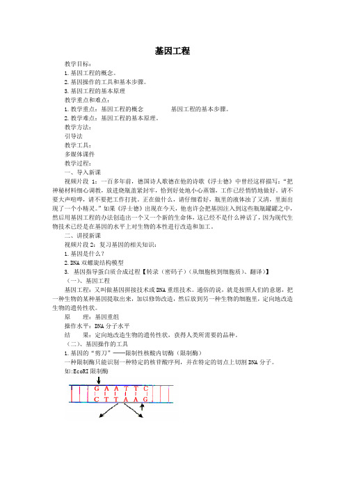 基因工程教学目标1基因工程的概念2基因操作的工具和基本步骤