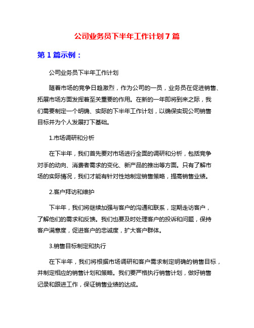 公司业务员下半年工作计划7篇