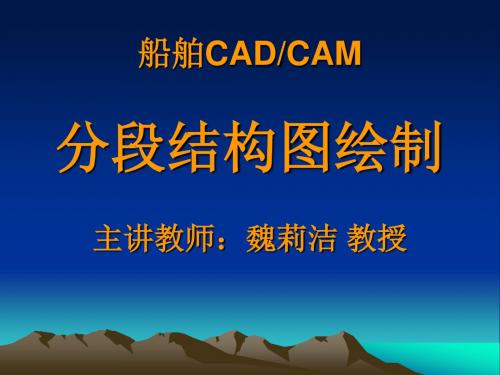 船舶CADCAM分段结构图绘制主讲教师魏莉洁 教授.