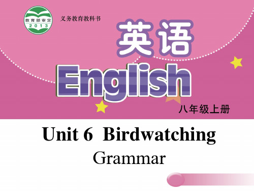 【牛津版】八年级上册：Unit 6 Bird watching Grammar课件