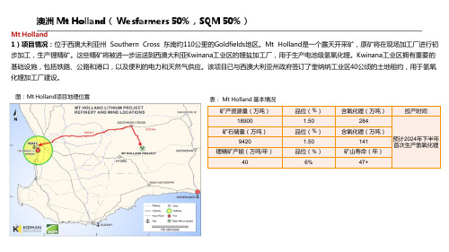 澳洲 Mt Holland锂盐项目基本情况