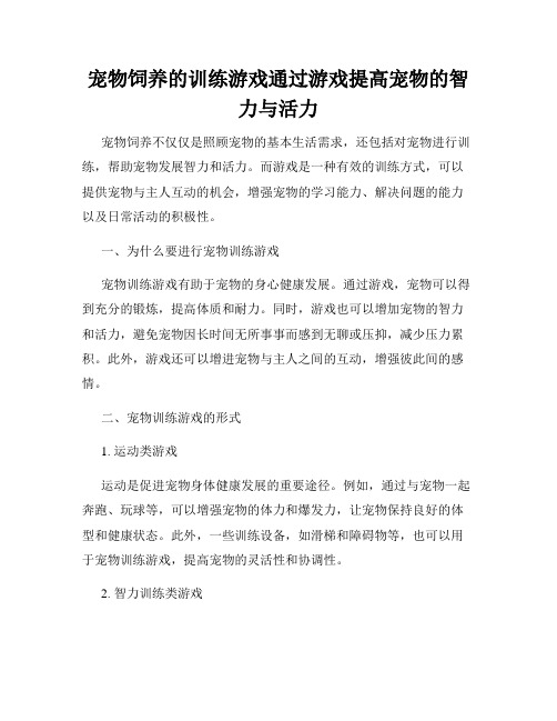 宠物饲养的训练游戏通过游戏提高宠物的智力与活力