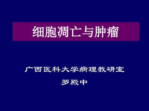 细胞凋亡与肿瘤07简.ppt