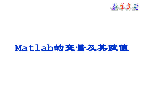 Matlab变量及数据类型