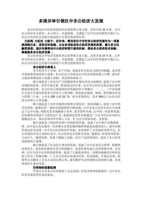多措并举引领汉中非公经济大发展