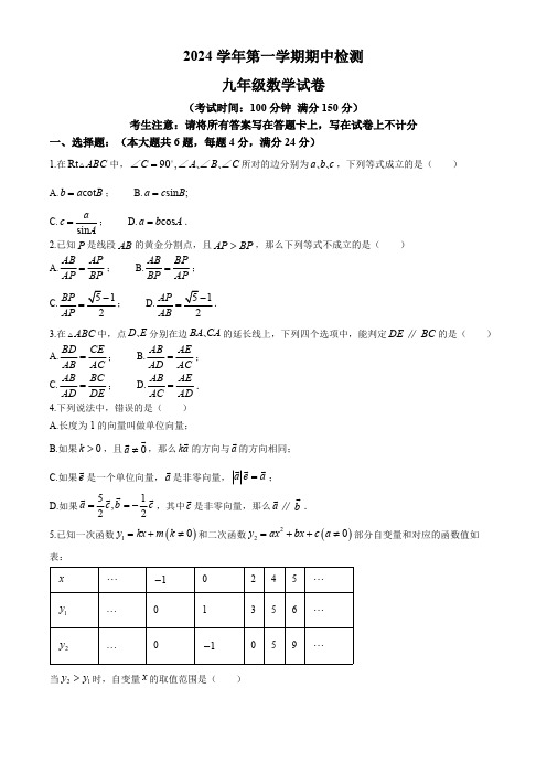 上海市宝山中学2024-2025学年 九年级上学期期中数学试卷(无答案)