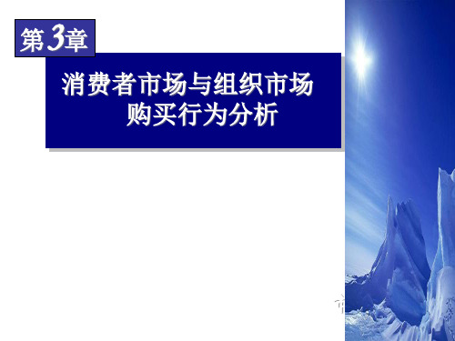 消费者市场与组织市场购买行为分析课程