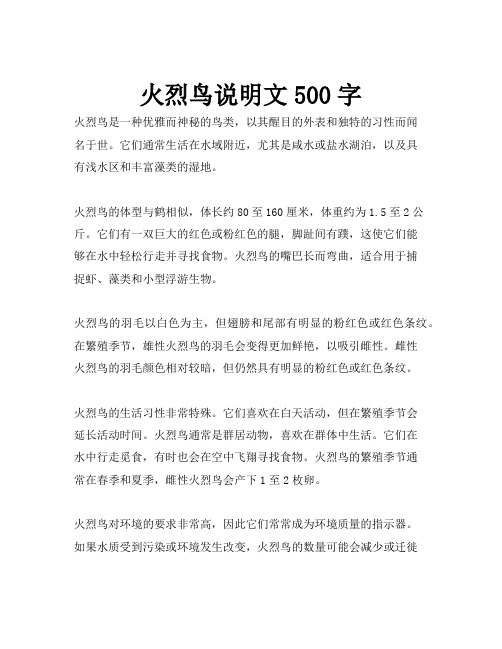 火烈鸟说明文500字