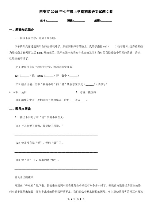 西安市2019年七年级上学期期末语文试题C卷