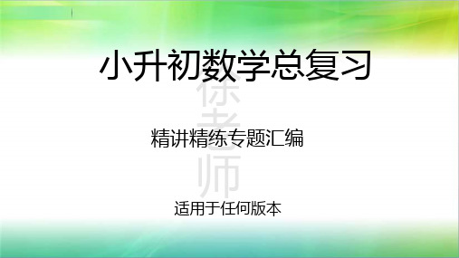 2022-2023学年小升初数学精讲精练专题汇编讲义第2讲 分数与百分数