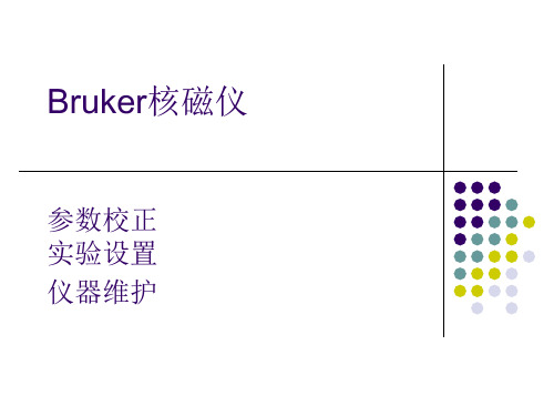 Bruker-仪器维护和参数校正