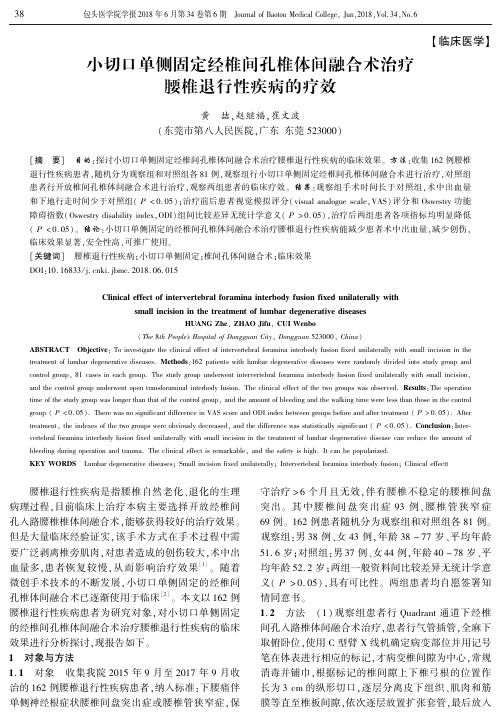 小切口单侧固定经椎间孔椎体间融合术治疗腰椎退行性疾病的疗效