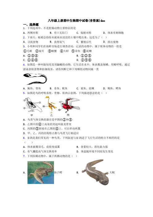 八年级上册期中生物期中试卷(含答案)doc