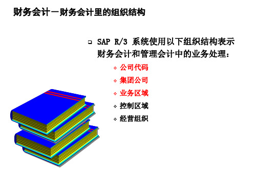 SAP财务会计里的组织结构