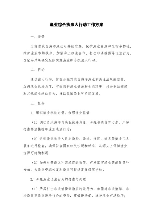 渔业综合执法大行动工作方案