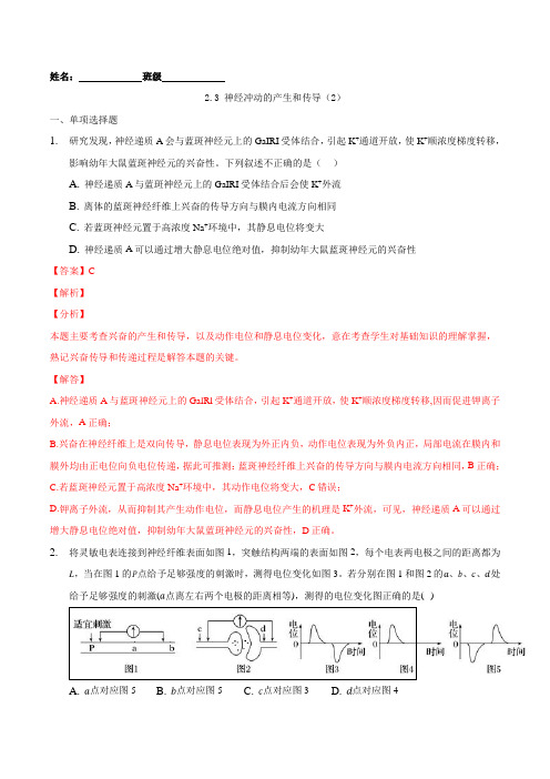 第二章神经冲动的产生和传导二)-2021-2022学年高二课后培优练(人教版选择性必修1)(解析版)