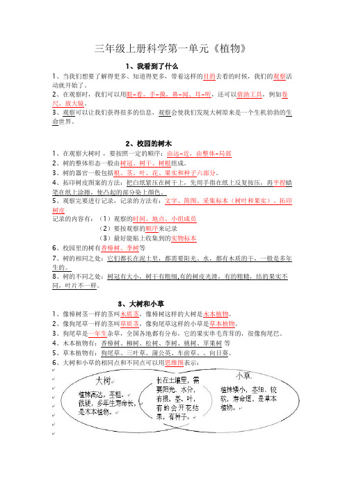 三年级上册科学第一单元植物复习资料