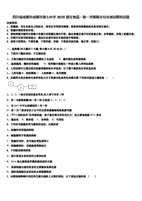 四川省成都市成都市第七中学2025届生物高一第一学期期末综合测试模拟试题含解析