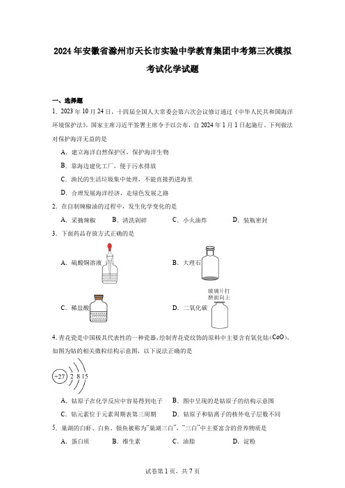 2024年安徽省滁州市天长市实验中学教育集团中考第三次模拟考试化学试题