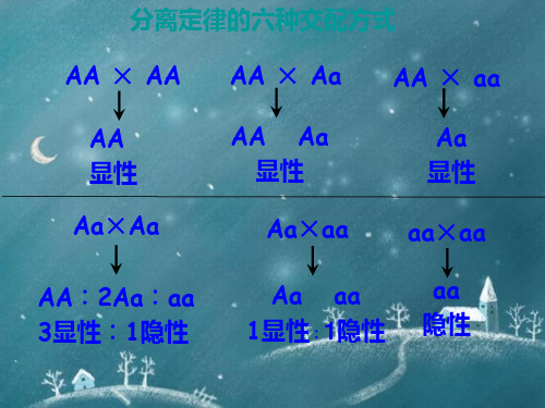 高中生物必修二(复习课件)