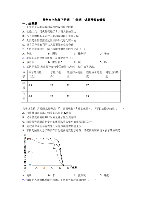 徐州市七年级下册期中生物期中试题及答案解答