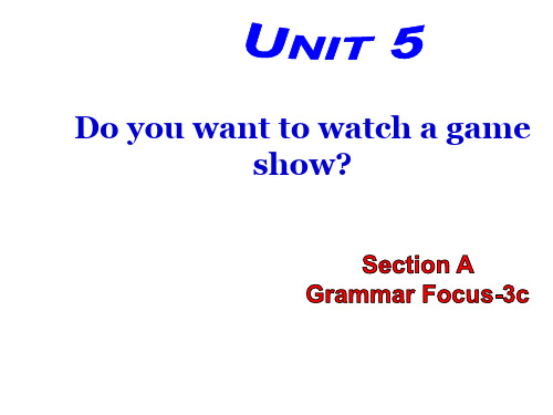 Unit 5 Do you want to watch a game show(Section A Grammar Focus)课件(人教新目标八年级上册)
