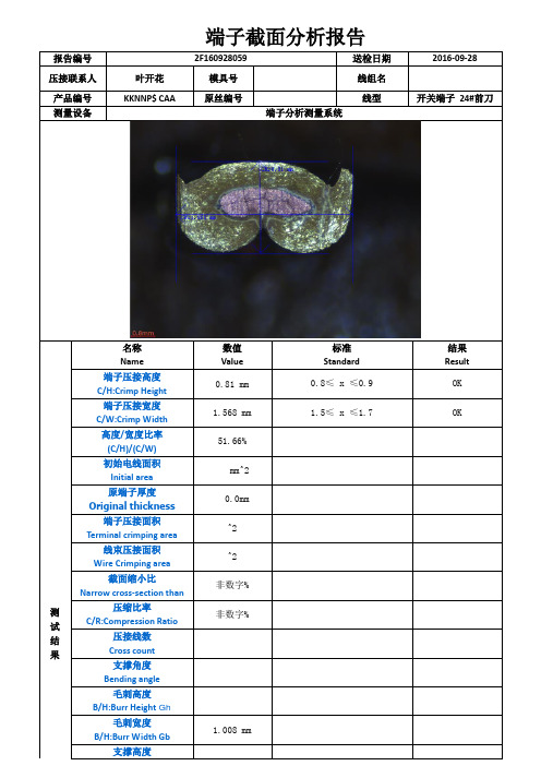 汽车线束端子截面报告