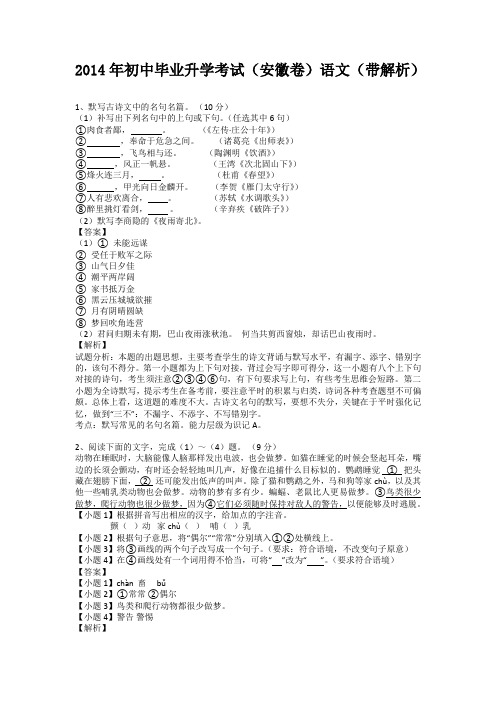 初中毕业升学考试(安徽卷)语文(带解析)