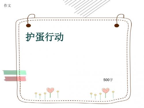 小学四年级作文《护蛋行动》500字(共8页PPT)