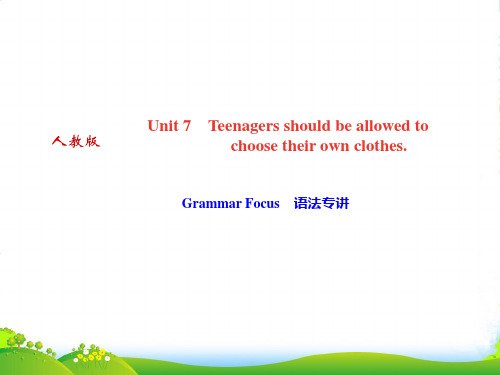 人教版九年级英语(广东)作业课件：Unit7 Grammar Focus 语法专讲