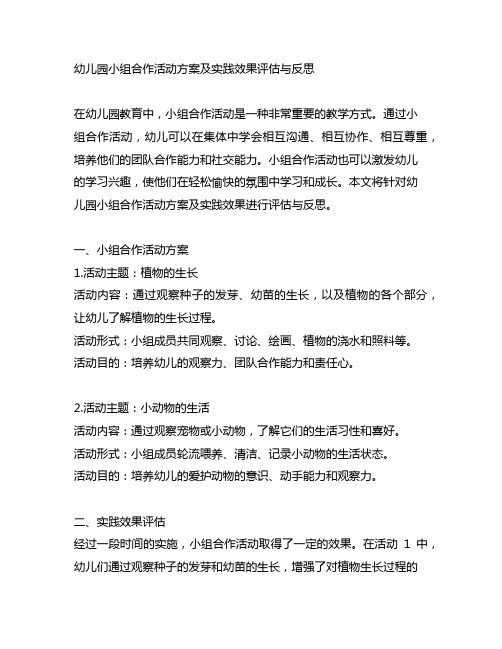 幼儿园小组合作活动方案及实践效果评估与反思