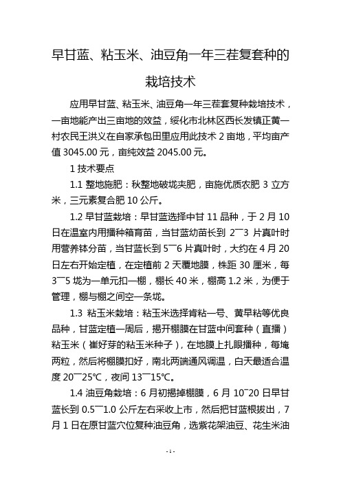 早甘蓝、粘玉米、油豆角一年三茬复套种的栽培技术