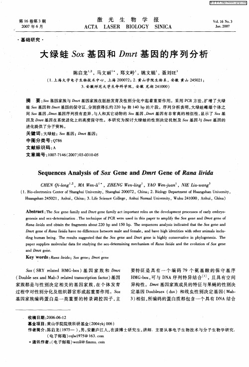 大绿蛙Sox基因和Dmrt基因的序列分析