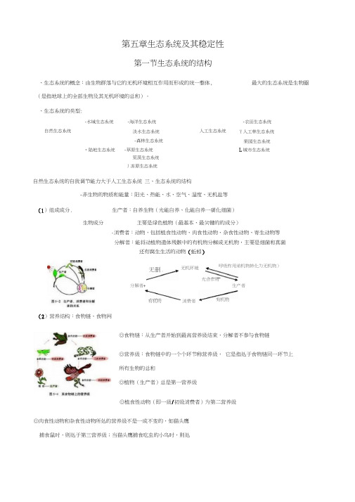 第五章生态系统及其稳定性(知识点)