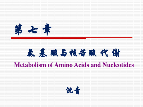 第7章 氨基酸代谢4